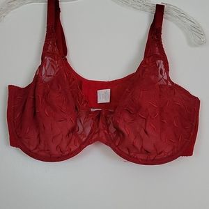 Cabernet Red Lace Undewire Bra 40D